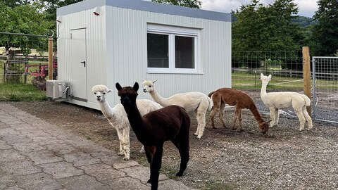 Bürocontainer Standart Aufenthaltscontainer Standart