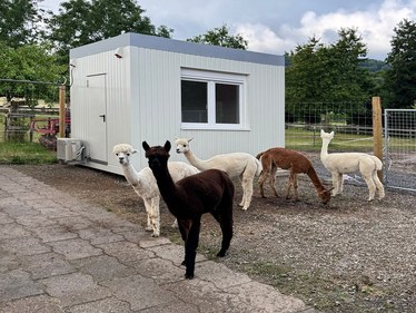 Bürocontainer - Bürocontainer Standart Bürocontainer - Bürocontainer Standart
